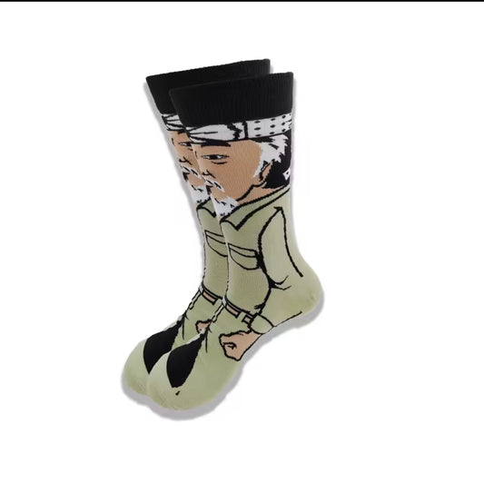 Karate Kid - Mr Miyagi